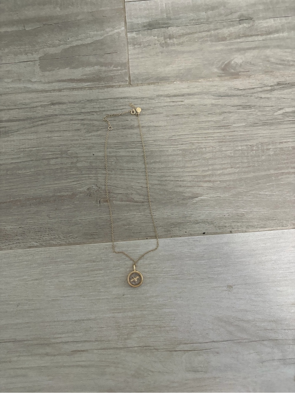wild fable Gold Star Compass Pendant Necklace